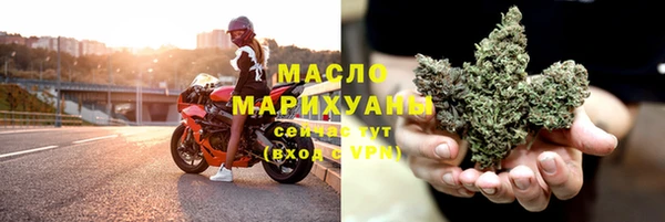 стаф Осинники