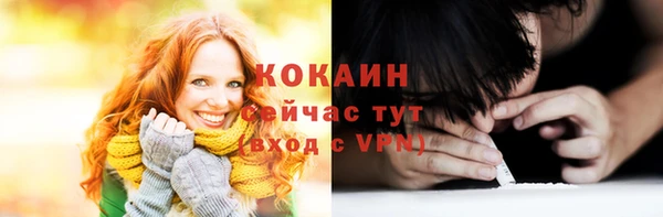 стаф Осинники