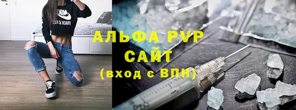 стаф Осинники